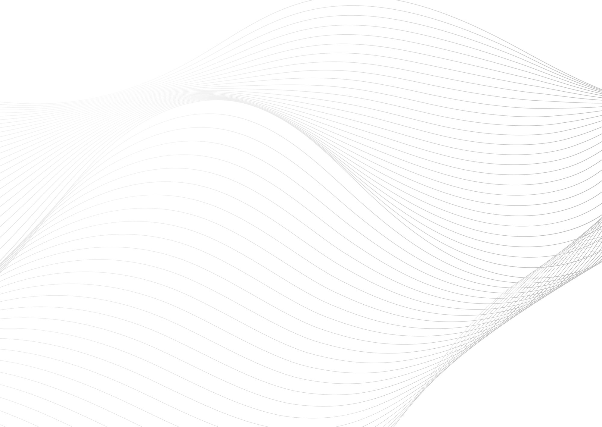 Web Site Tasarımcısı, Akçakent